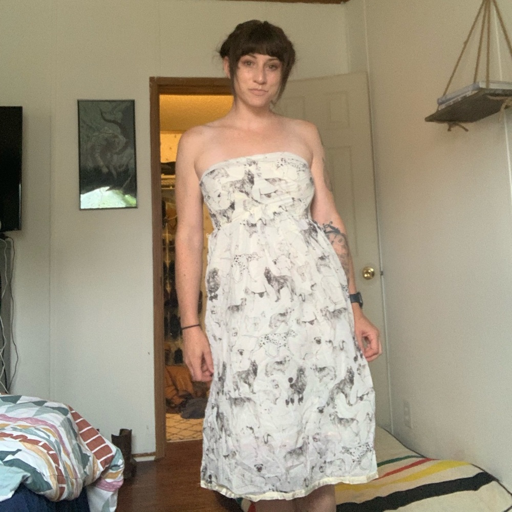 Anthropologie Maeve dog dress